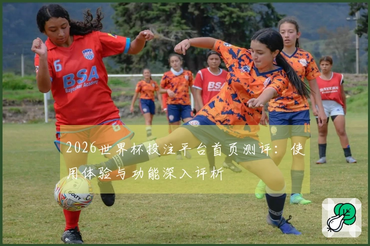 2026世界杯投注平台首页测评：使用体验与功能深入评析