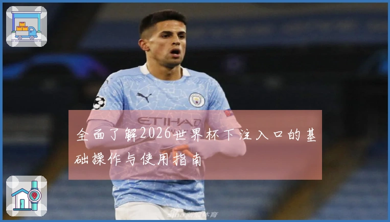 全面了解2026世界杯下注入口的基础操作与使用指南