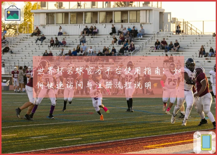 世界杯买球官方平台使用指南：如何快速访问与注册流程说明