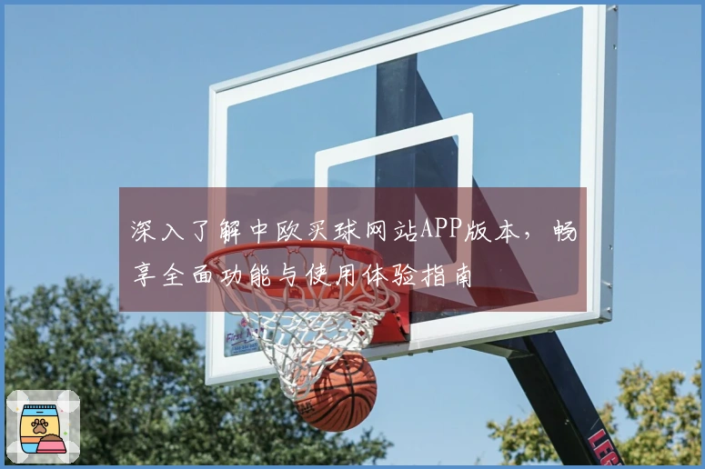 深入了解中欧买球网站APP版本，畅享全面功能与使用体验指南