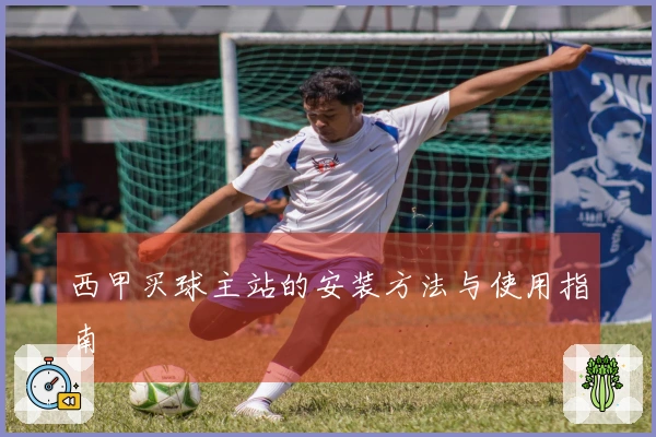 西甲买球主站的安装方法与使用指南