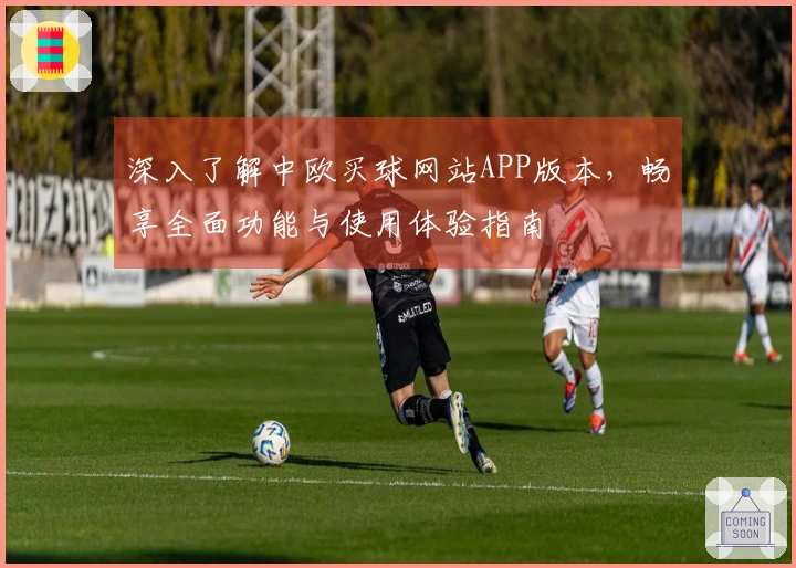 深入了解中欧买球网站APP版本，畅享全面功能与使用体验指南