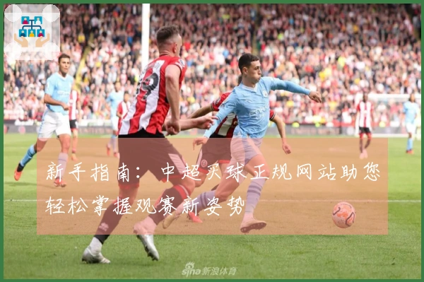 新手指南：中超买球正规网站助您轻松掌握观赛新姿势