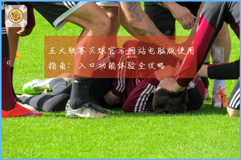 五大联赛买球官方网站电脑版使用指南：入口功能体验全攻略